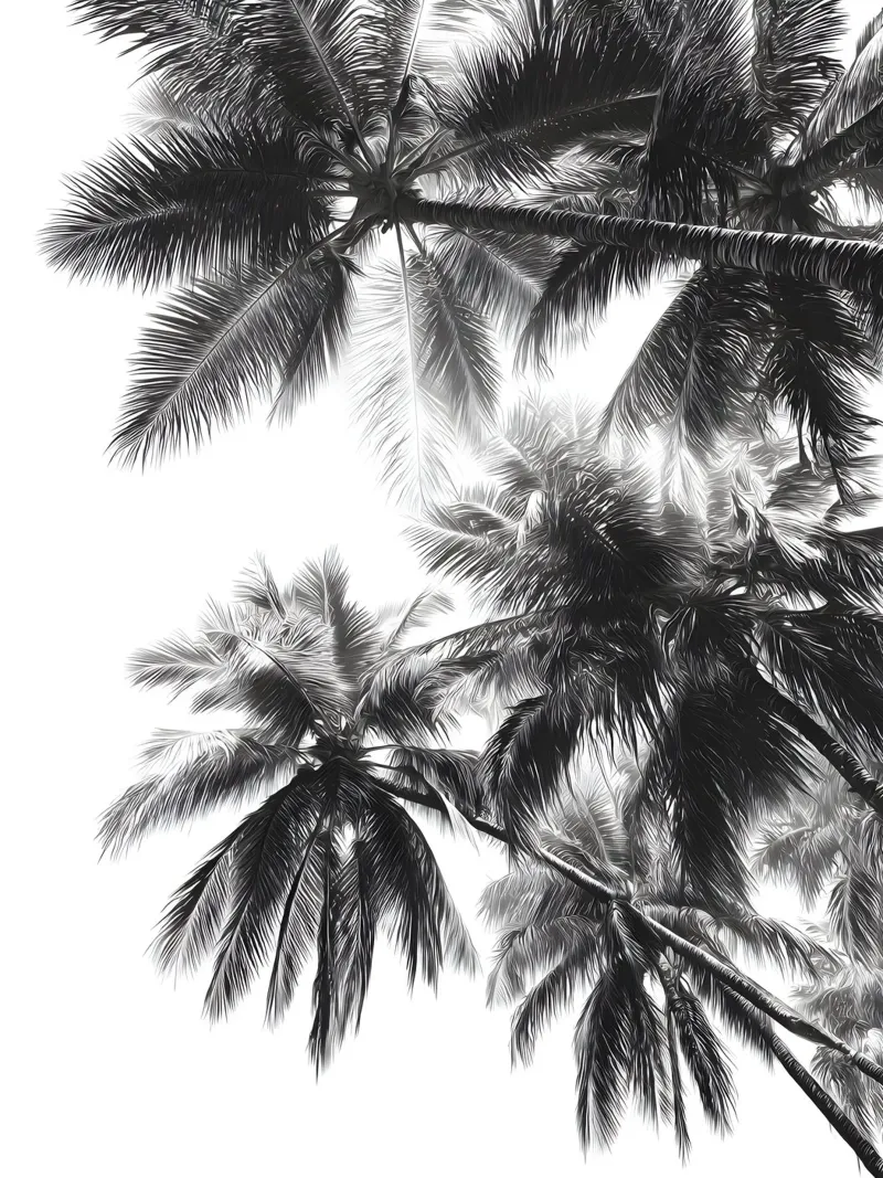 The Palm Trees pellicola backlit da Mononoir