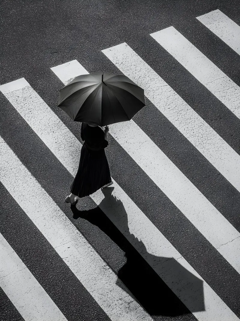 The Crossing plexiglass da Mononoir