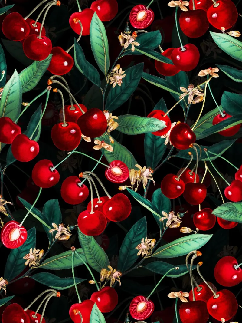 SWEET CHERRY III canvas by burcukorkmazyurek