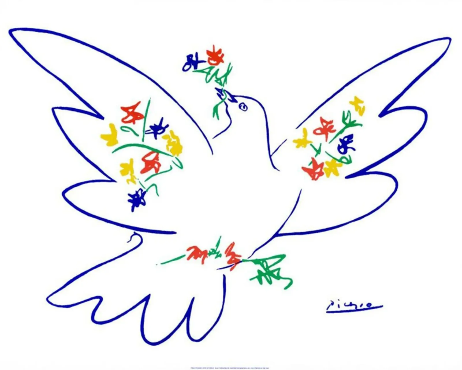 Picasso Pablo Dove Sketch pellicola backlit da Mrs.Allen