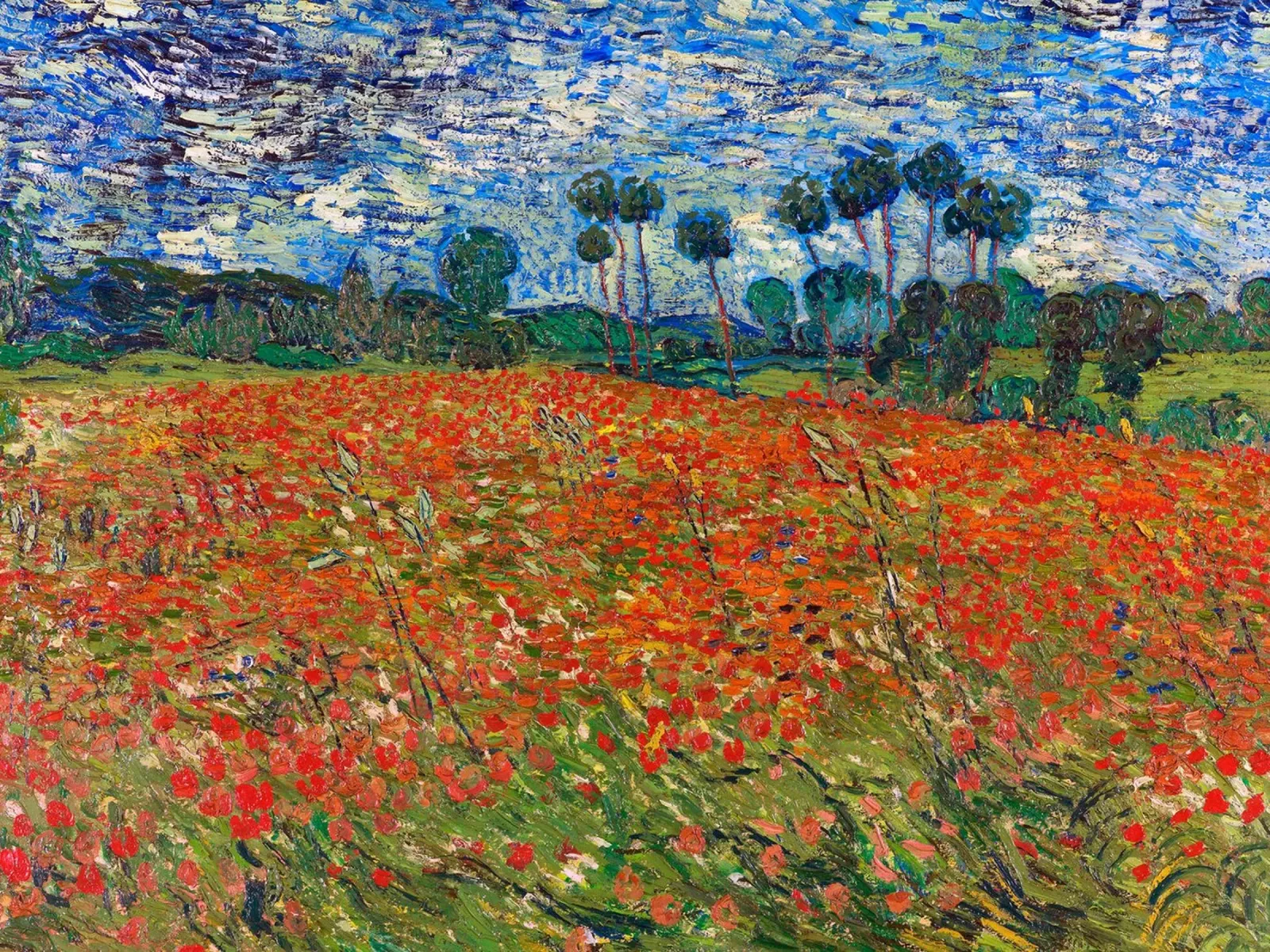 Campo di papaveri - Vincent van Gogh plexiglass da Sylviepaint