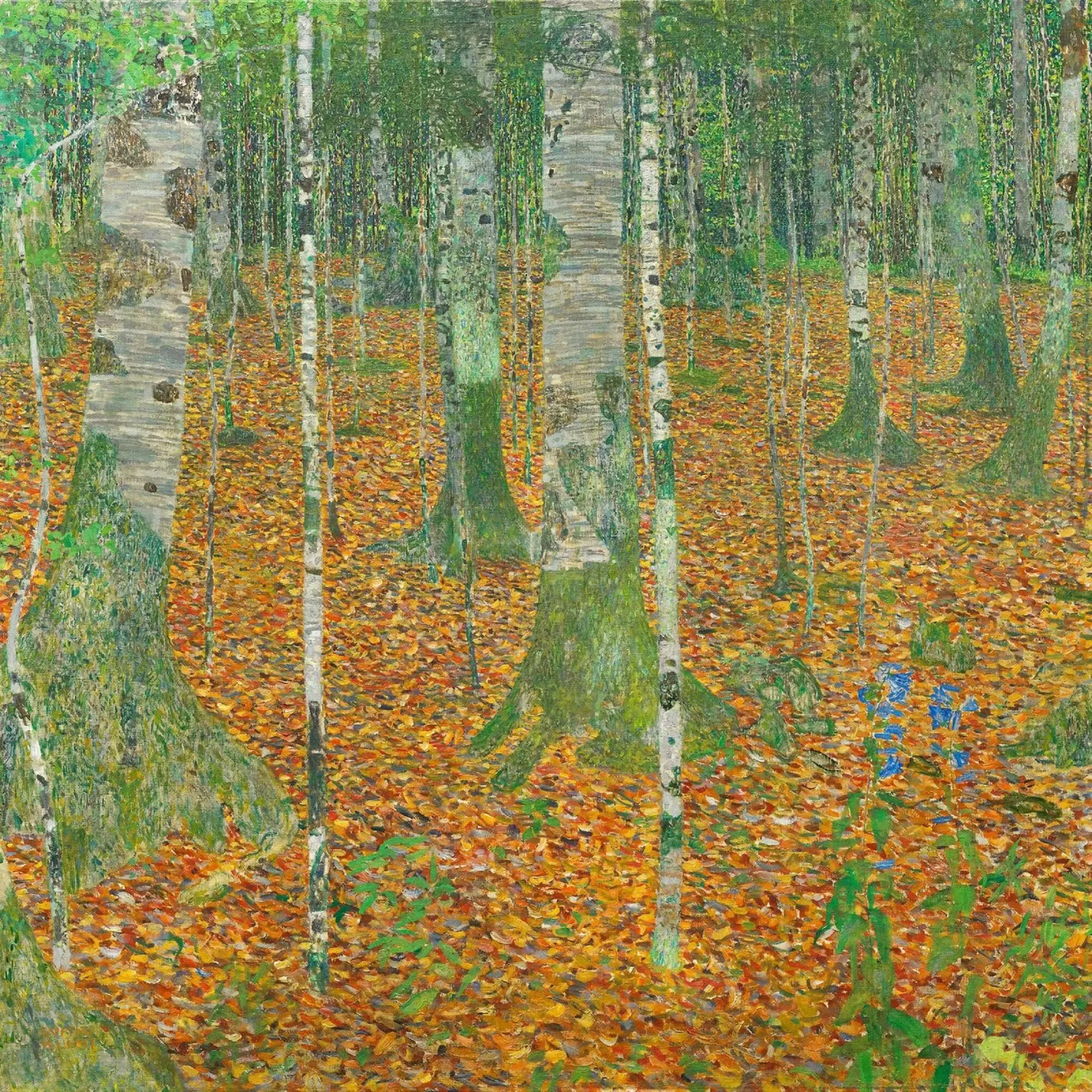 Bosco di betulle (1903) di Gustav Klimt carta hahnemühle da Gustav Klimt ART Prints