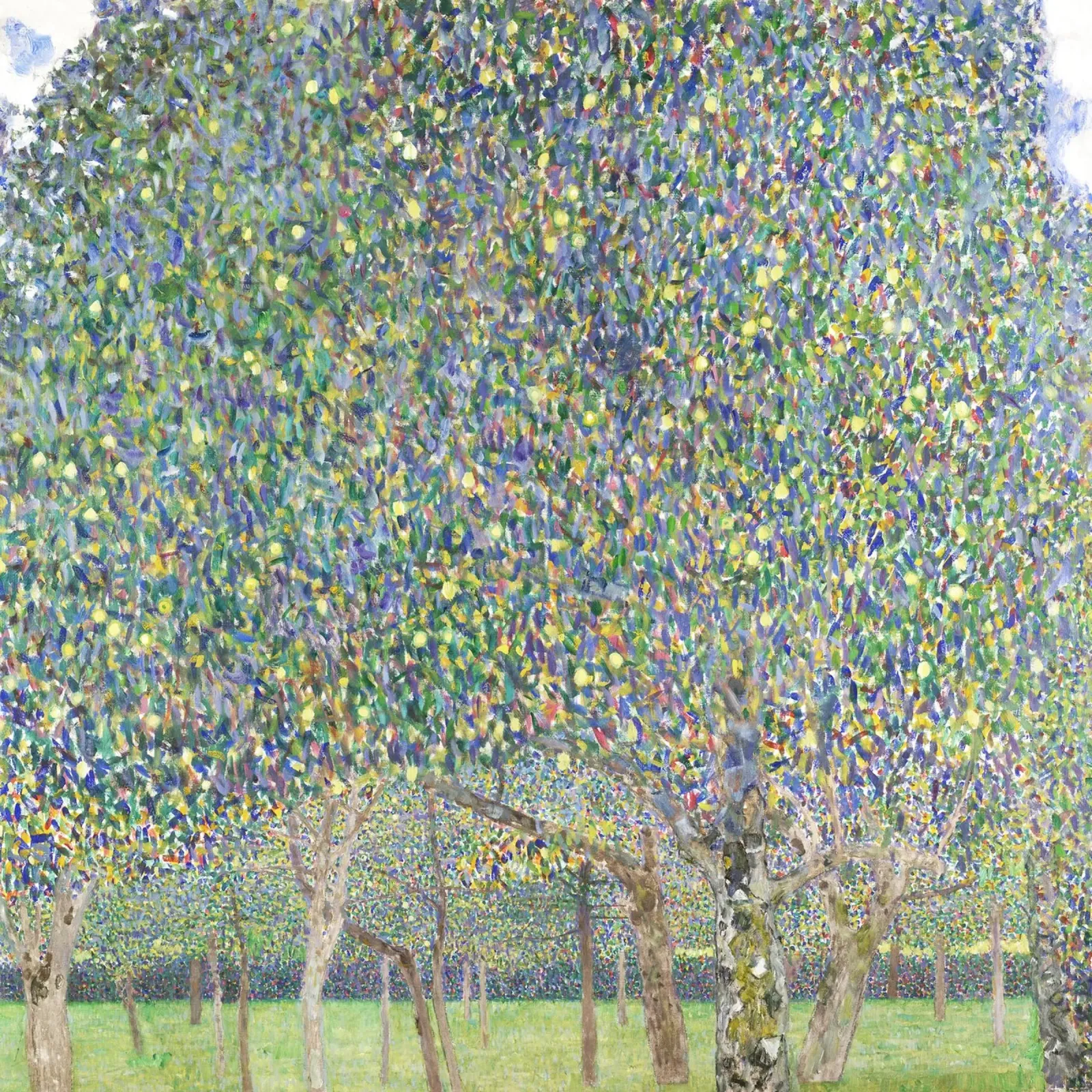 Albero di pere (1903) di Gustav Klimt pellicola backlit da Gustav Klimt ART Prints