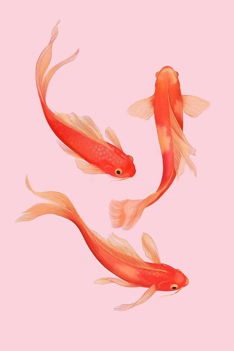 Three goldfish - Silja Goetz canvas by Monillustrations
