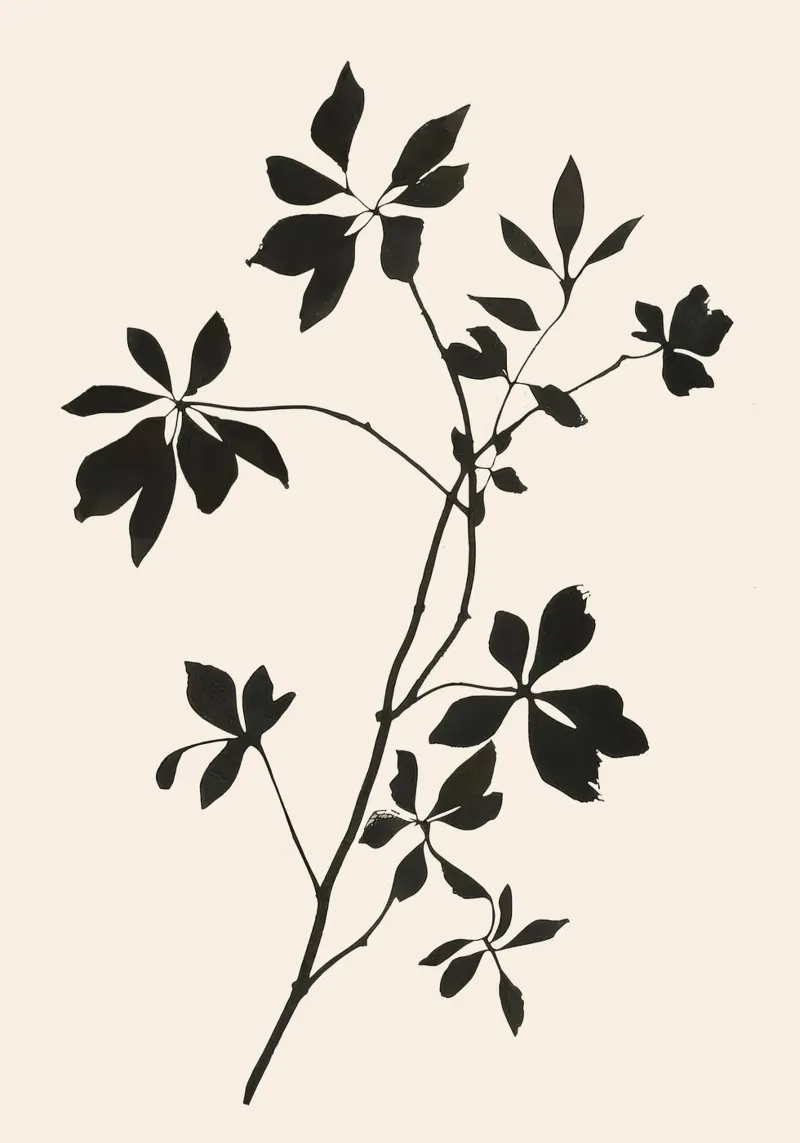 Botanical Silhouette I pellicola backlit da Flow Line