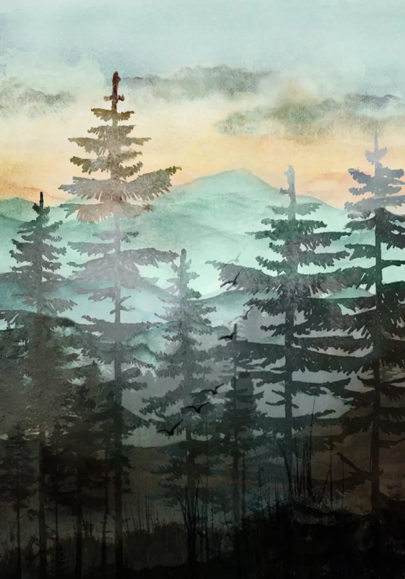 Pine Trees pellicola backlit da Nadjaa