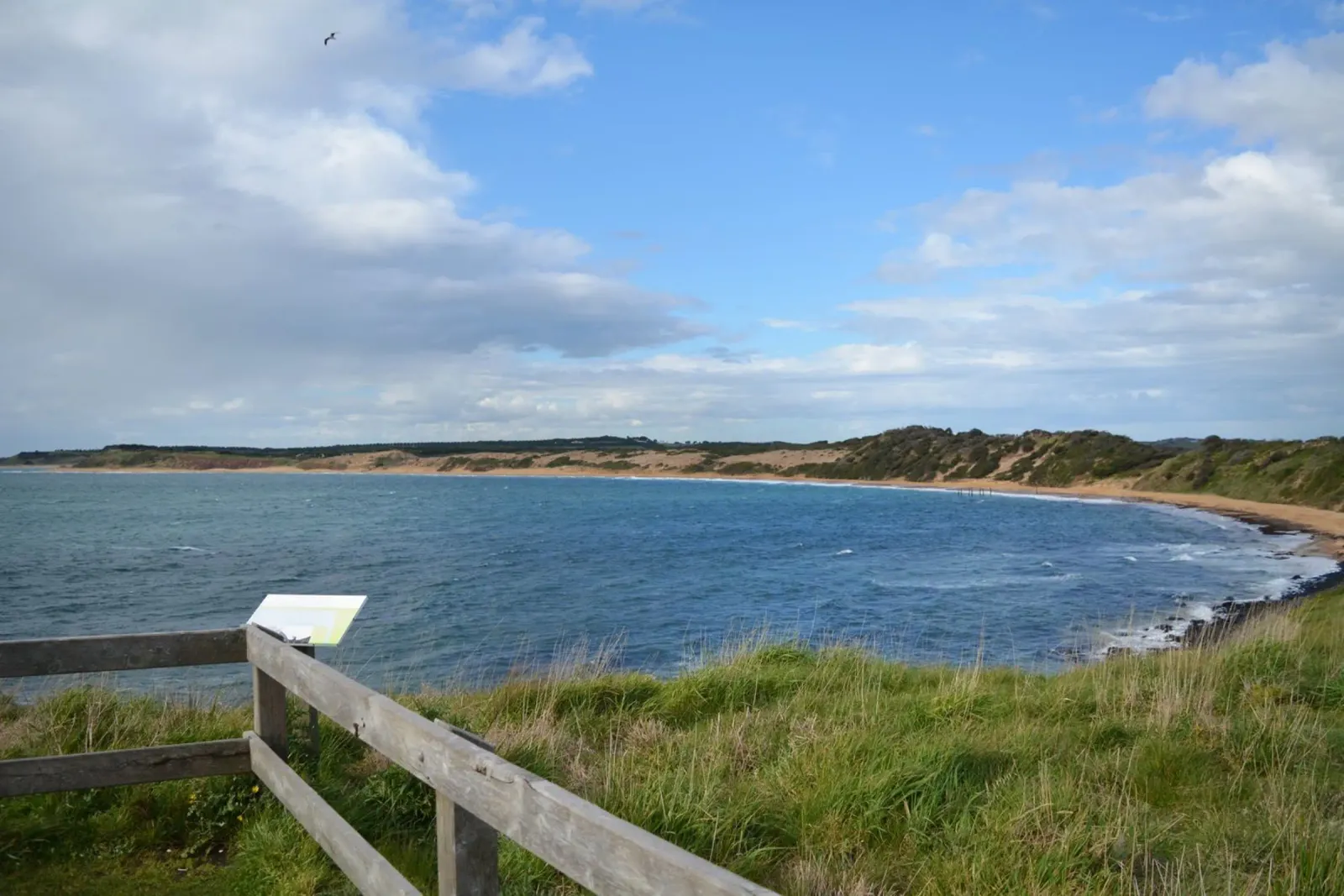 A view over Cat Bay on Philip Island canvas by byrieneke
