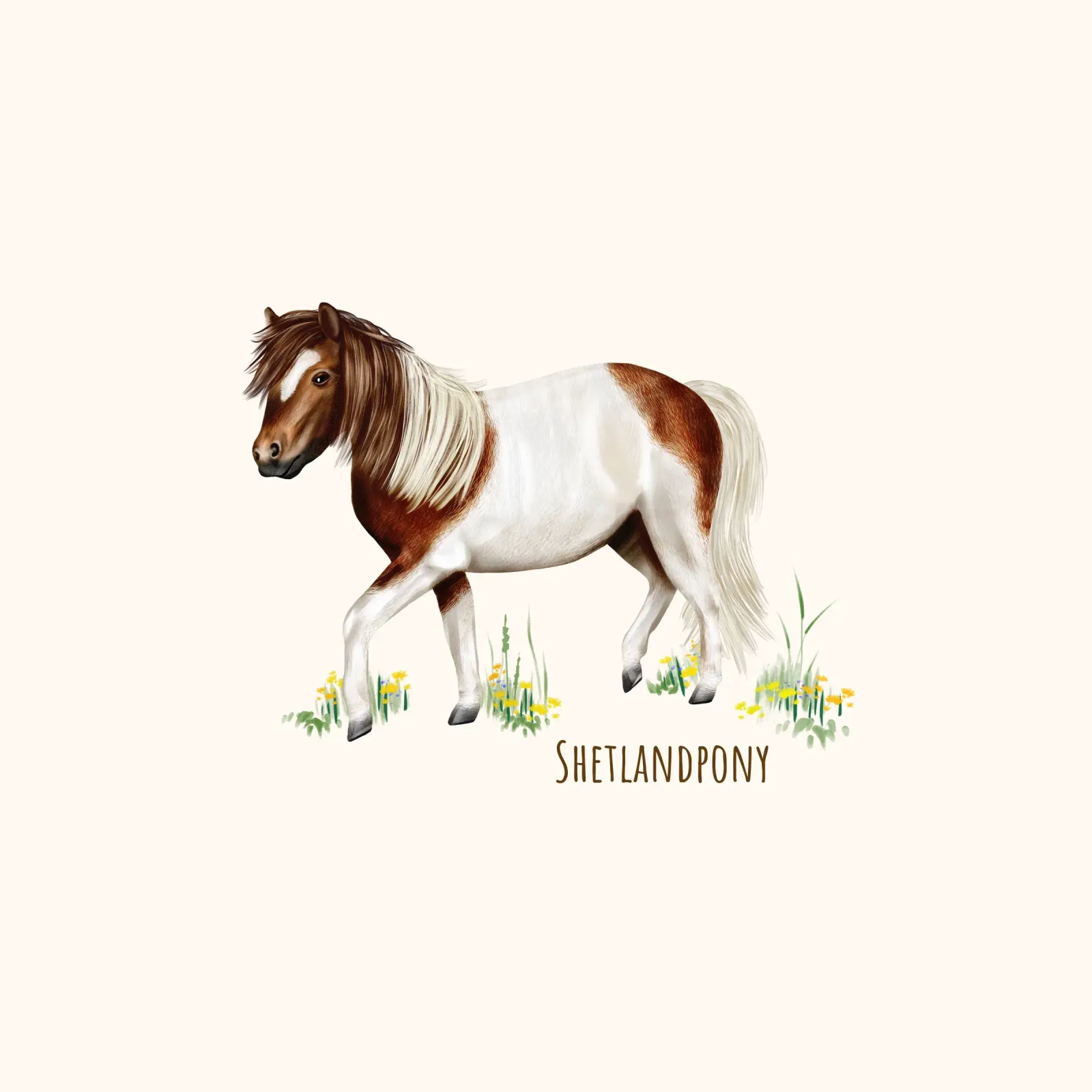 Shetlandpony acrylic glass by Moonlit Illustrations