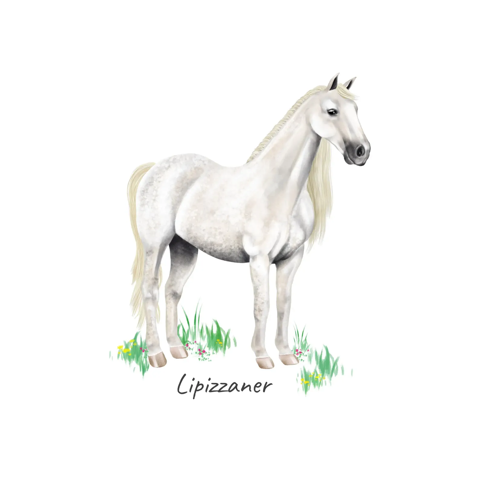 Lipizzaner pellicola backlit da Moonlit Illustrations