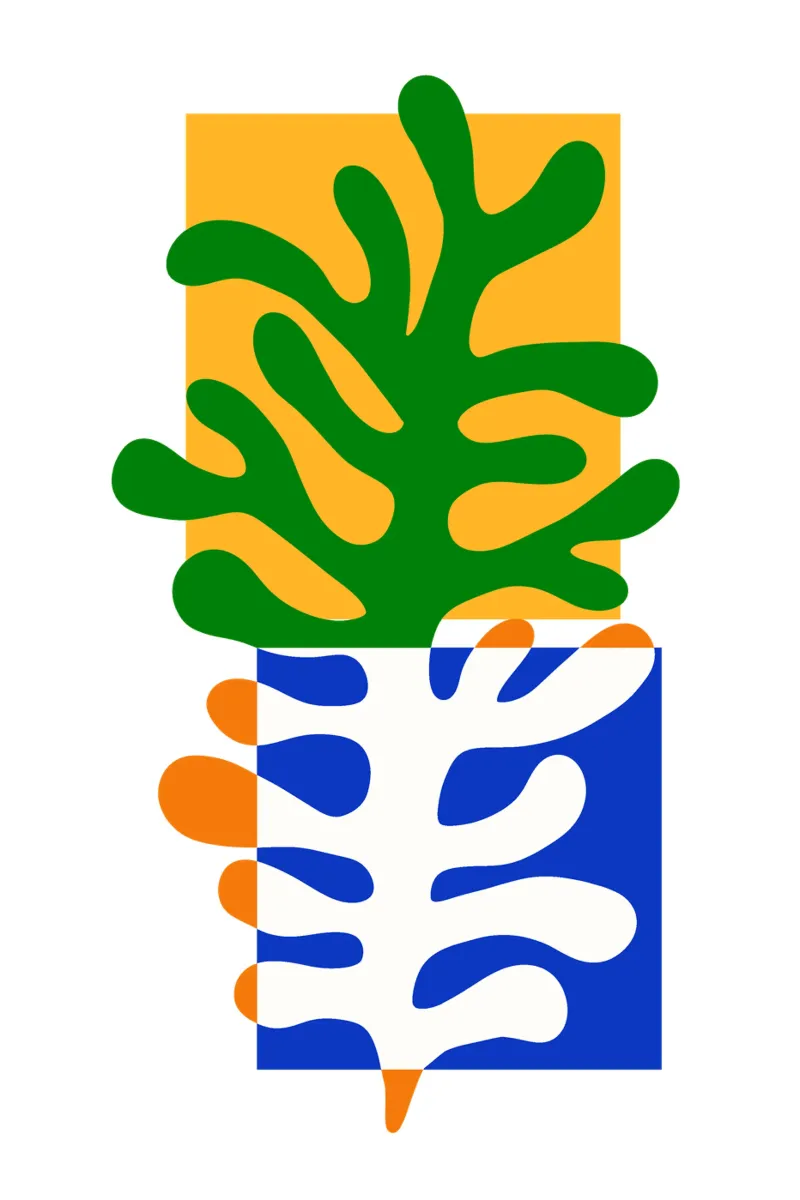 Henri Matisse seaweed cuts pellicola backlit da TijanaArtStudio88