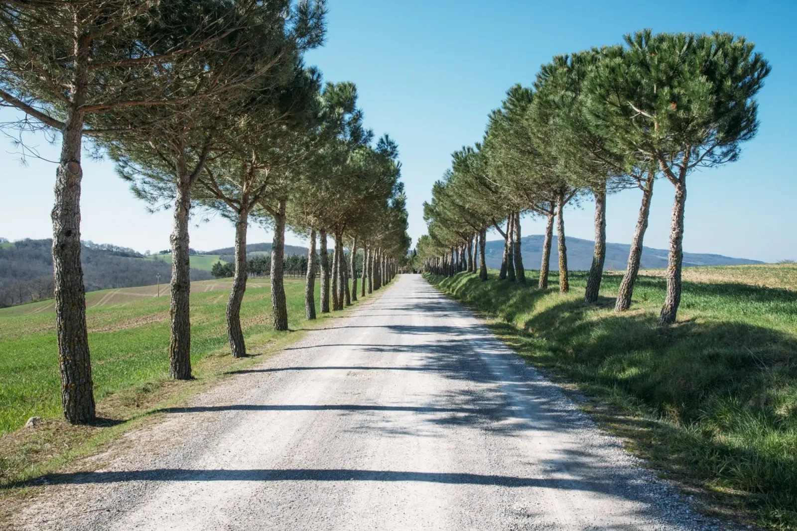 Toscana Reverie alluminio dibond da Wanderlust Vibes