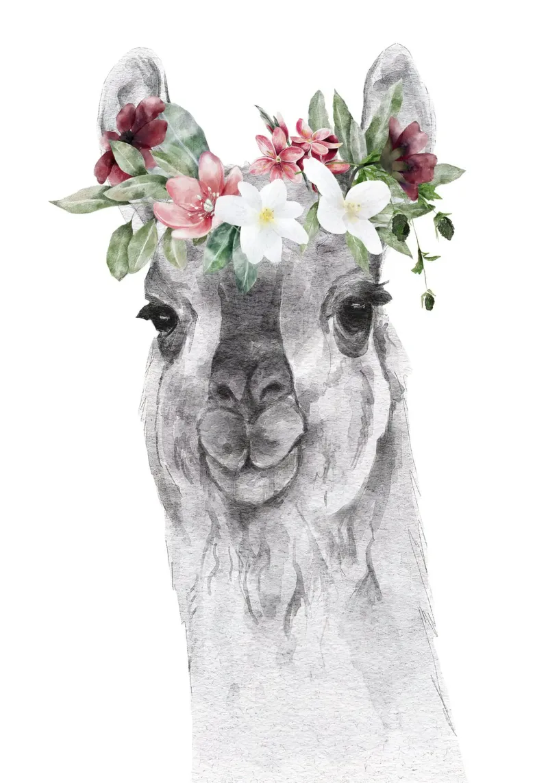 Lama con fiori con stampa Safari Nursery pellicola backlit da sharemantes