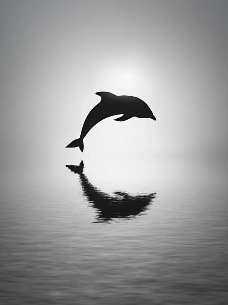 Delfino nel mare pellicola backlit da cosmos studio