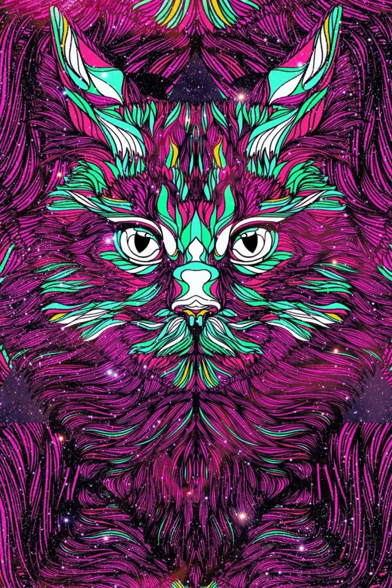 Space Cat pellicola backlit da Danny Ivan