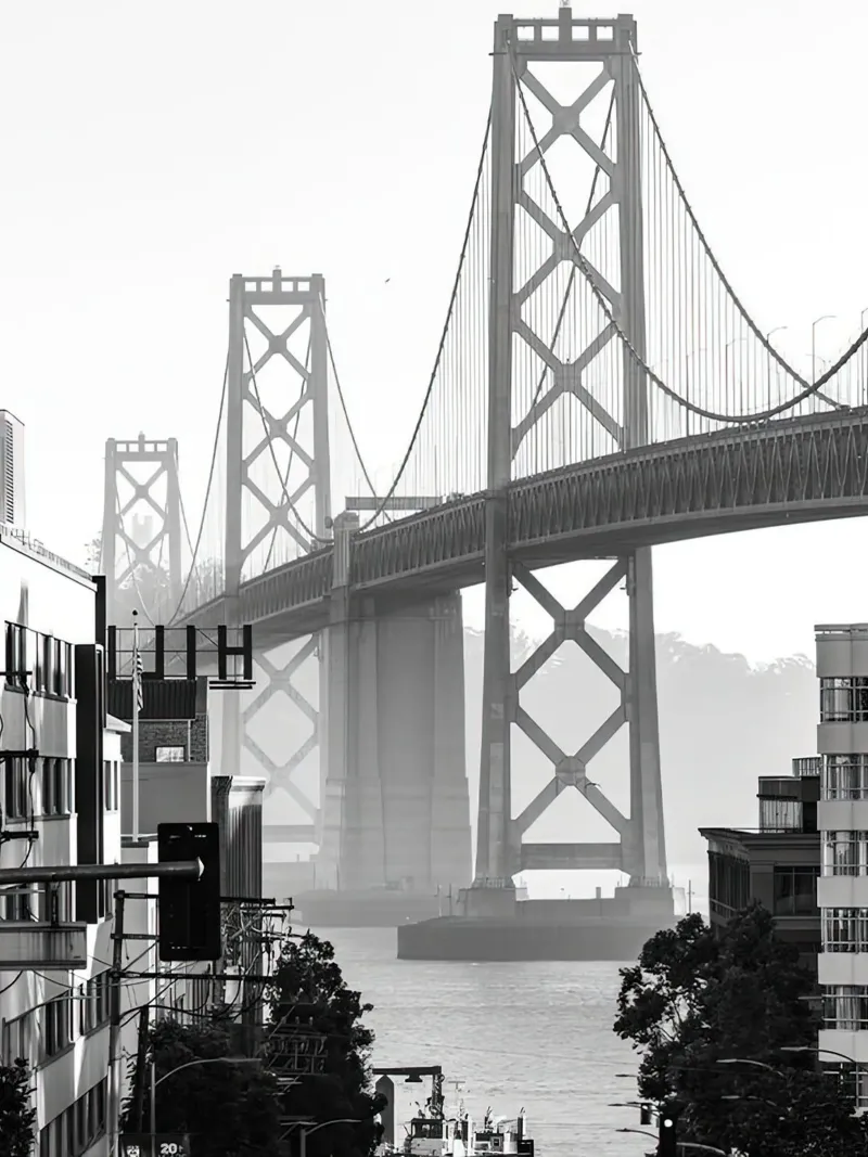 Bay Bridge Black and White forex plate by Black And White