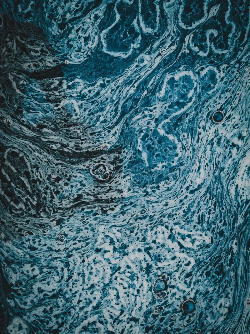 Silenzio d'acqua salata carta hahnemühle da PhotoVibe Decor