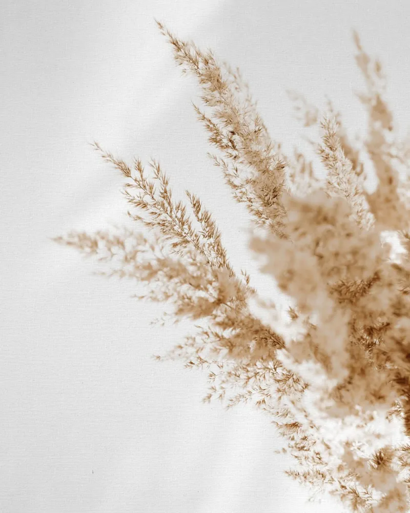 simplicity flora alluminio dibond da Creaton