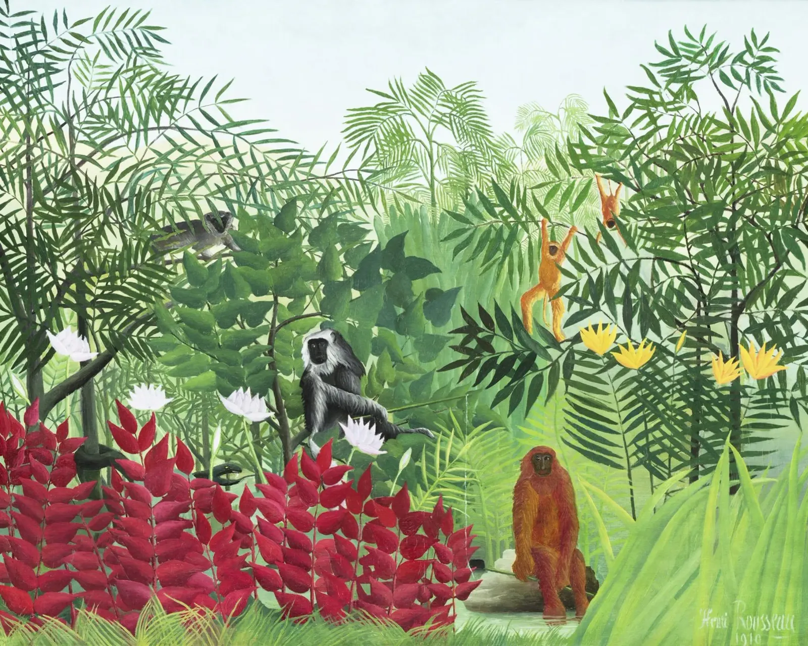 Foresta tropicale con scimmie (1910) di Henri Rousseau pellicola backlit da Venus Art