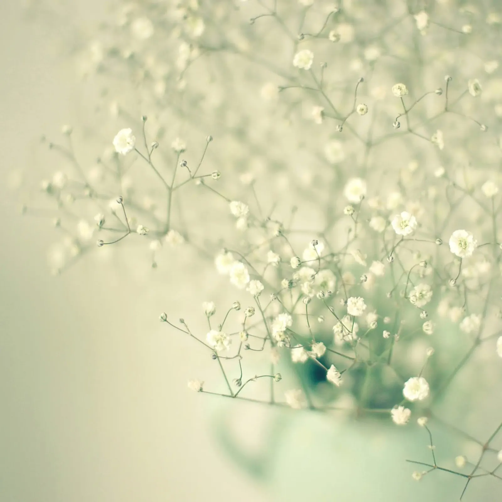 Delicate acrylic glass by Cassia Beck Photography