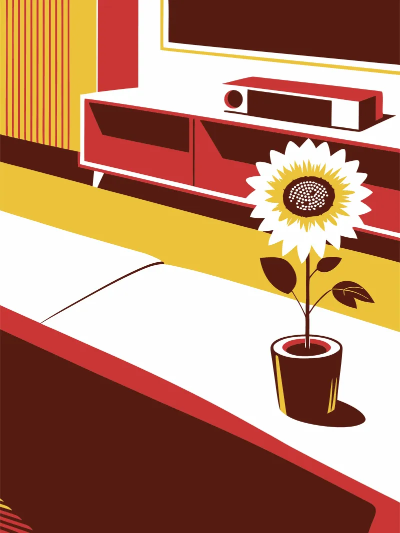 Girasole in camera pellicola backlit da STORE PRESENCE