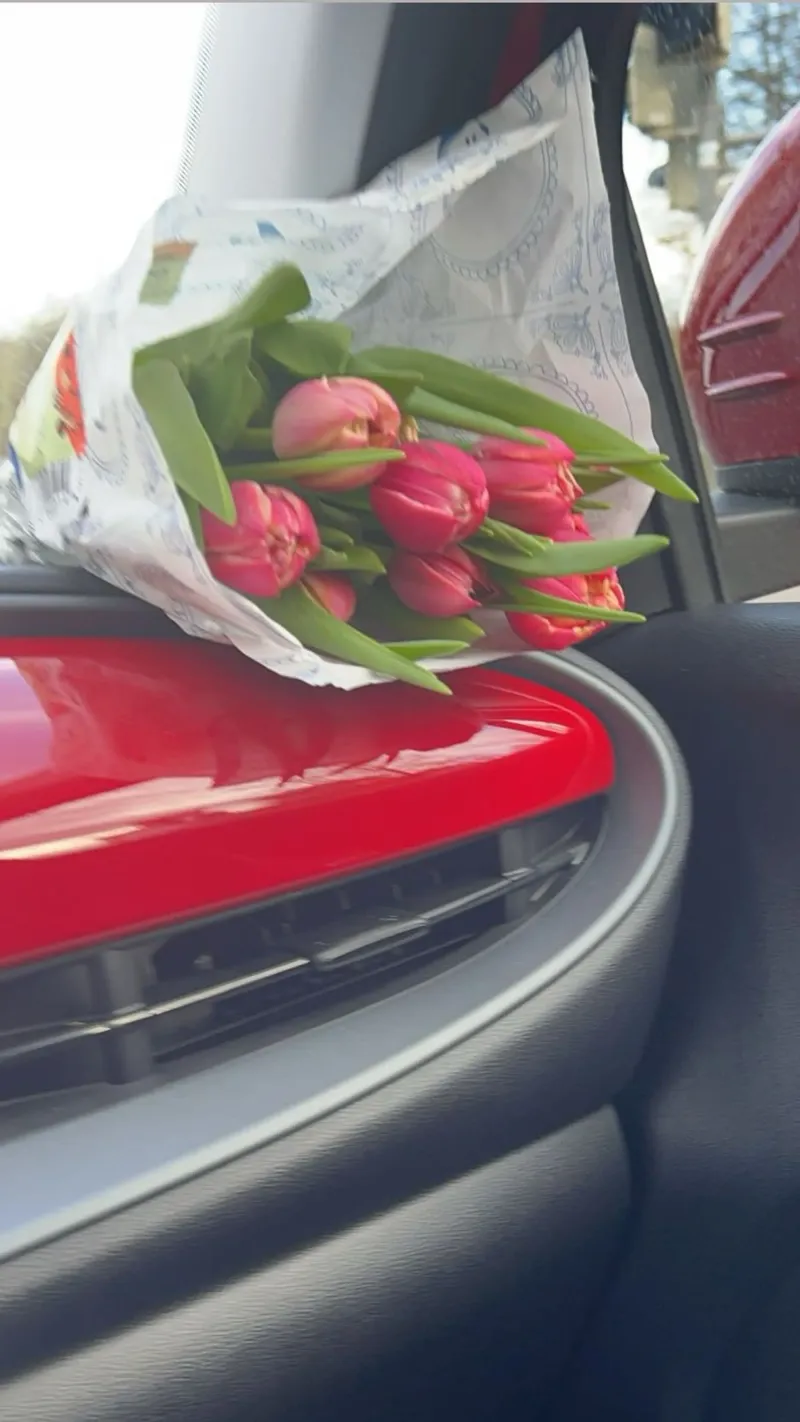 Fiat 500 x Flowers pannello forex da Sous le ciel