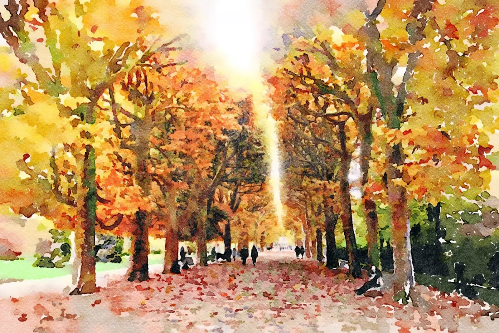 Autunno a Parigi pellicola backlit da Massimo Frascogna