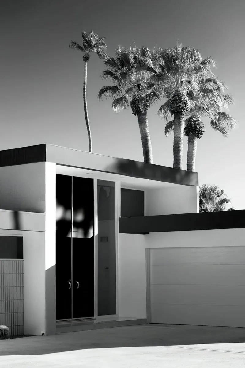 Palm Spring Modern Design pellicola backlit da lennytravers