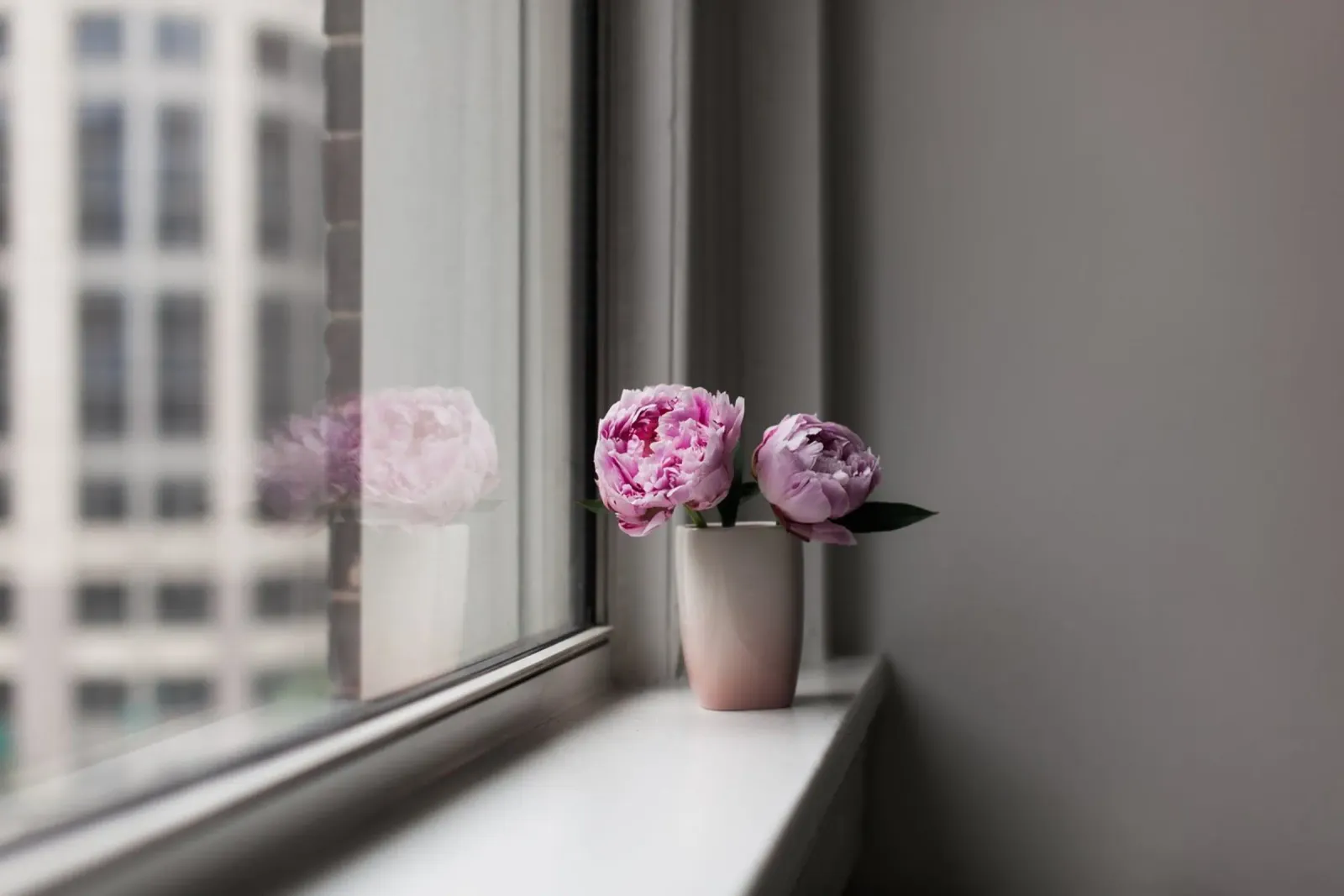 Peonie rosa poster da PhotoVibe Decor