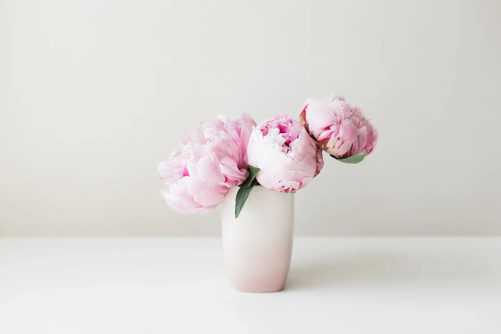 Peonie rosa poster con telaio in plastica da PhotoVibe Decor