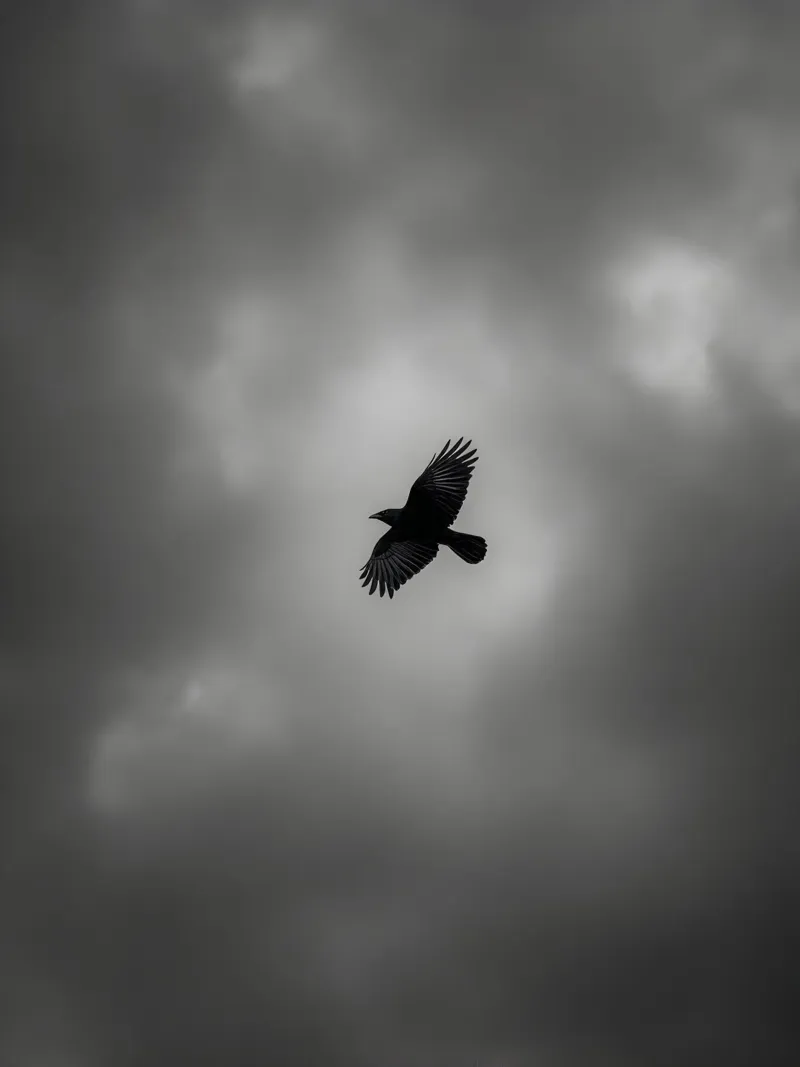 The Bird pellicola backlit da Mononoir