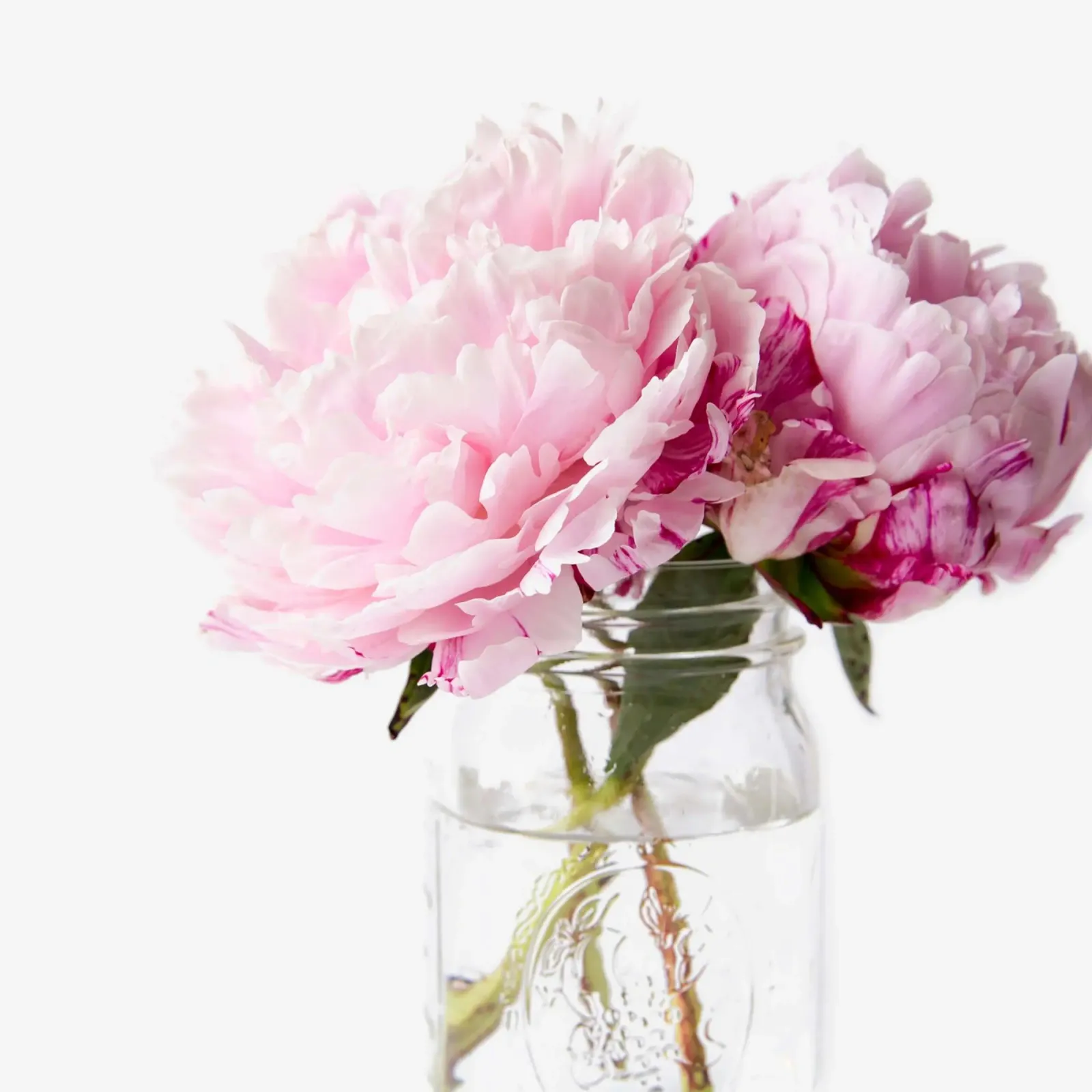 Peonie rosa tela con Cornice a cassetta da PhotoVibe Decor