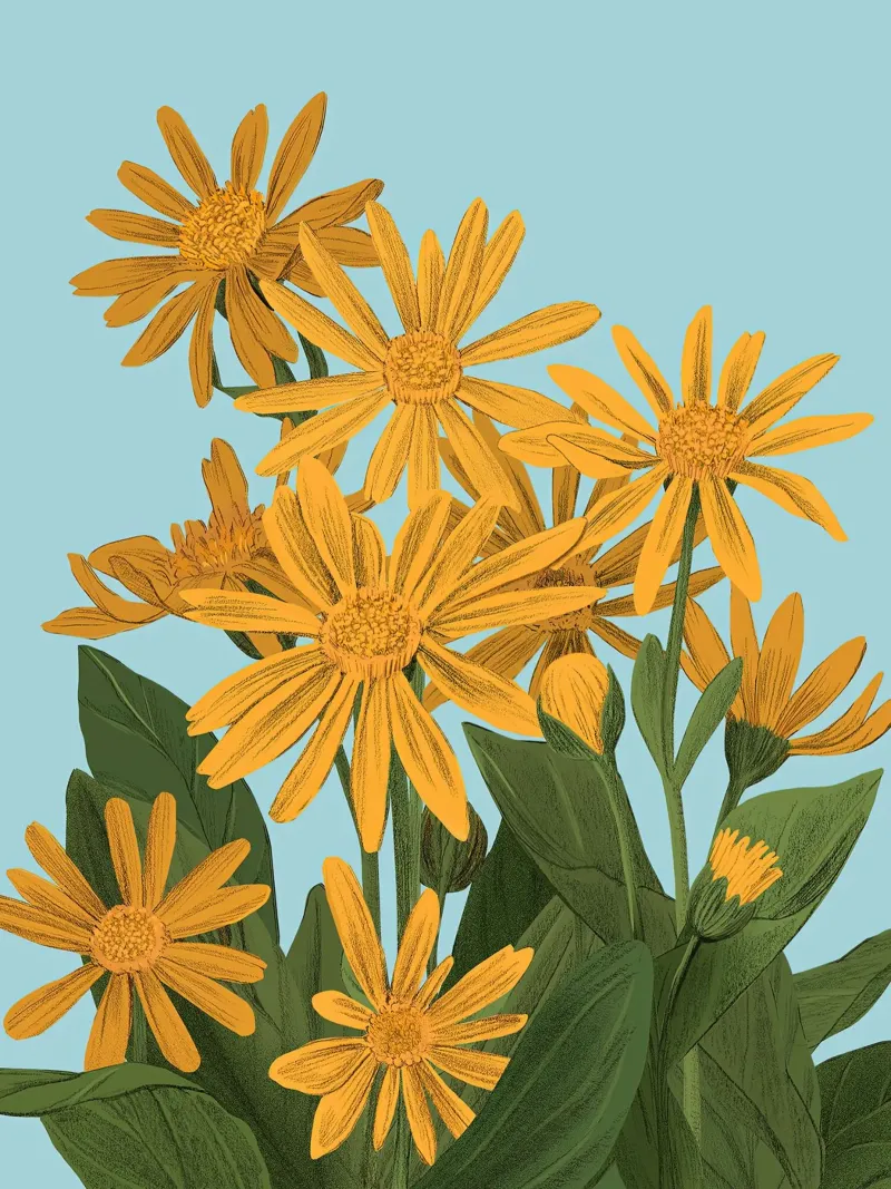 Gele bloemen print - Silja Goetz canvas met Baklijst van Monillustrations