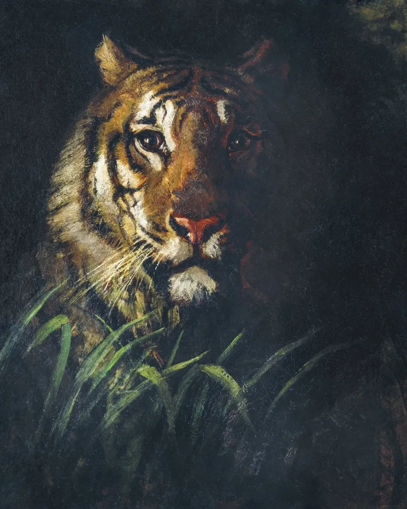 La testa della tigre di Abbott Handerson Thayer alluminio dibond da Venus Art