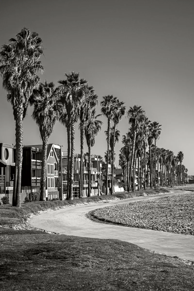 Lungomare di Venice Beach con palme in bianco e nero poster con telaio in plastica da Finch & Frames