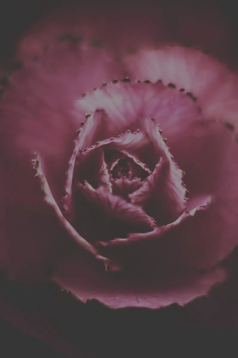 Gedempte bloemen canvas met Baklijst van PhotoVibe Decor