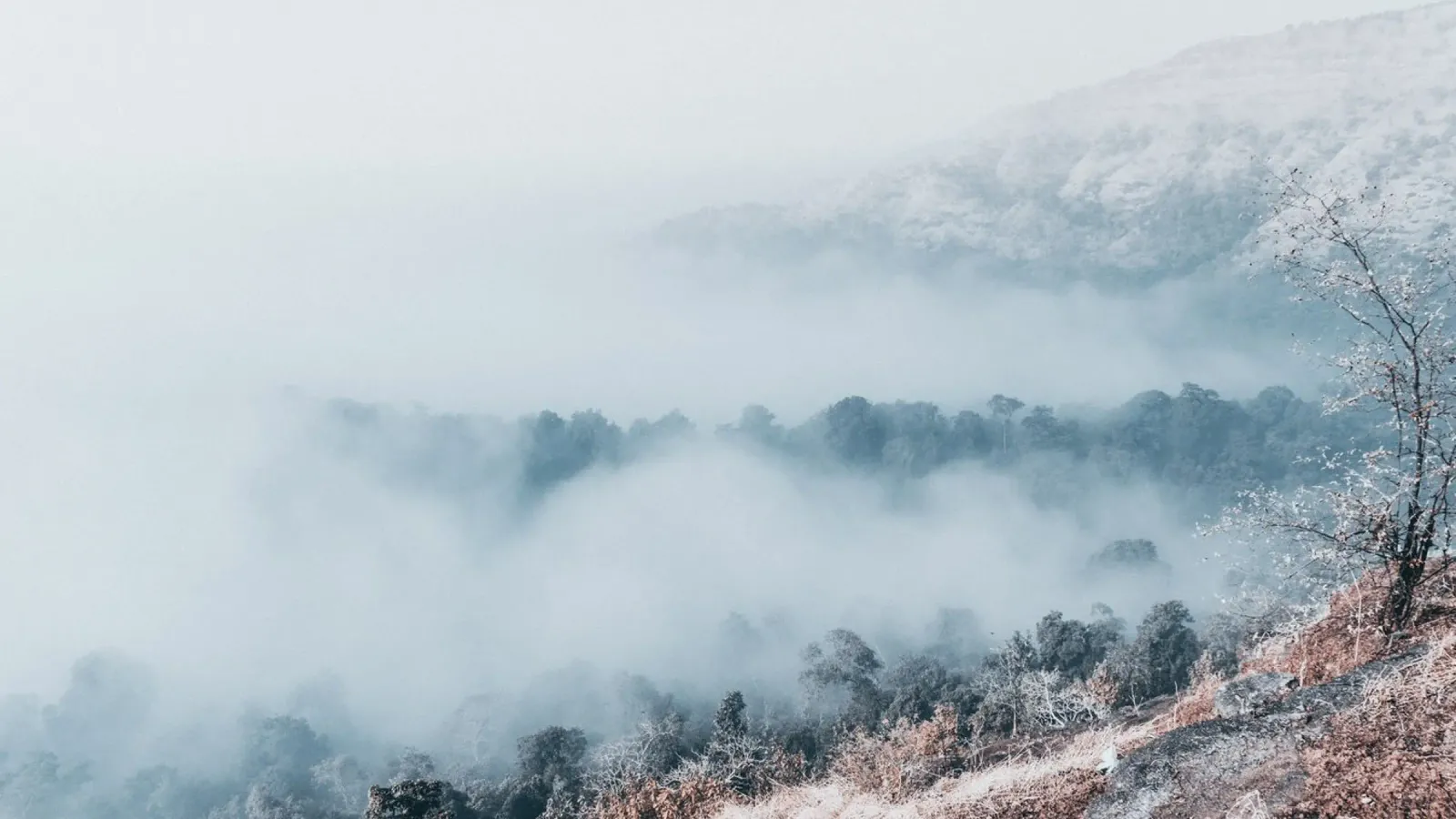 Sussurri della nebbia tela con Cornice a cassetta da PhotoVibe Decor