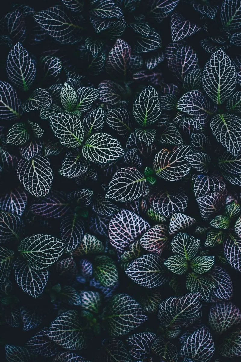 Texture botaniche alluminio dibond da PhotoVibe Decor