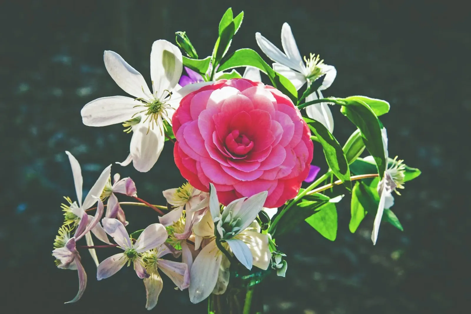 Poesia in fiore selvaggio poster da PhotoVibe Decor