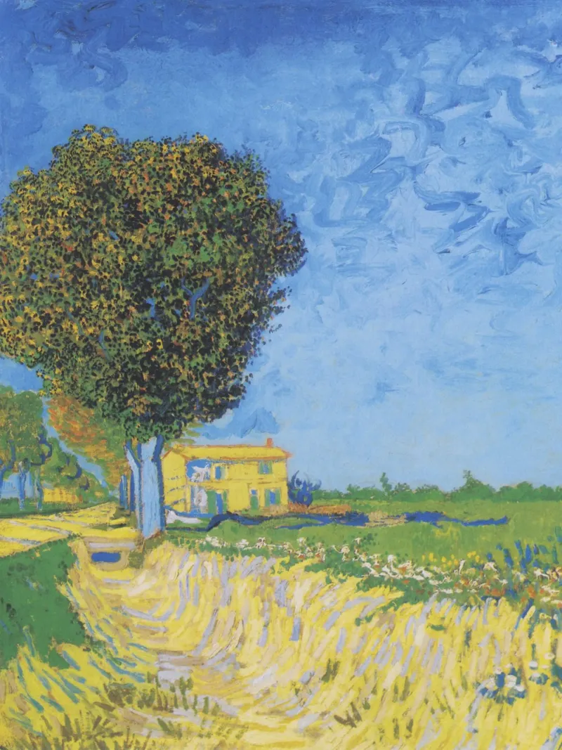 Viale di Arles con le case di Vincent van Gogh pellicola backlit da Art History