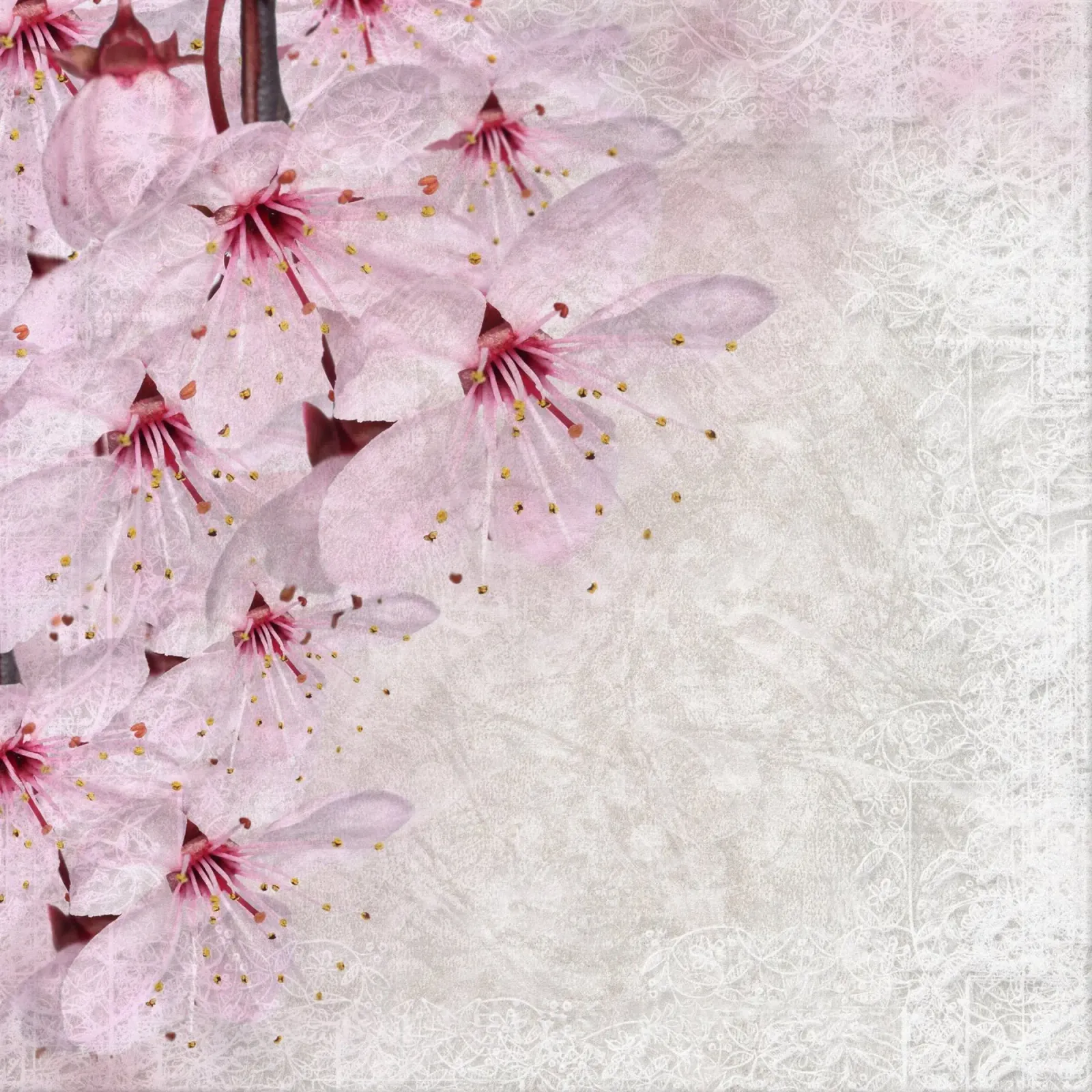 Breath of Sakura canvas with Floater frame by Bold Blooms
