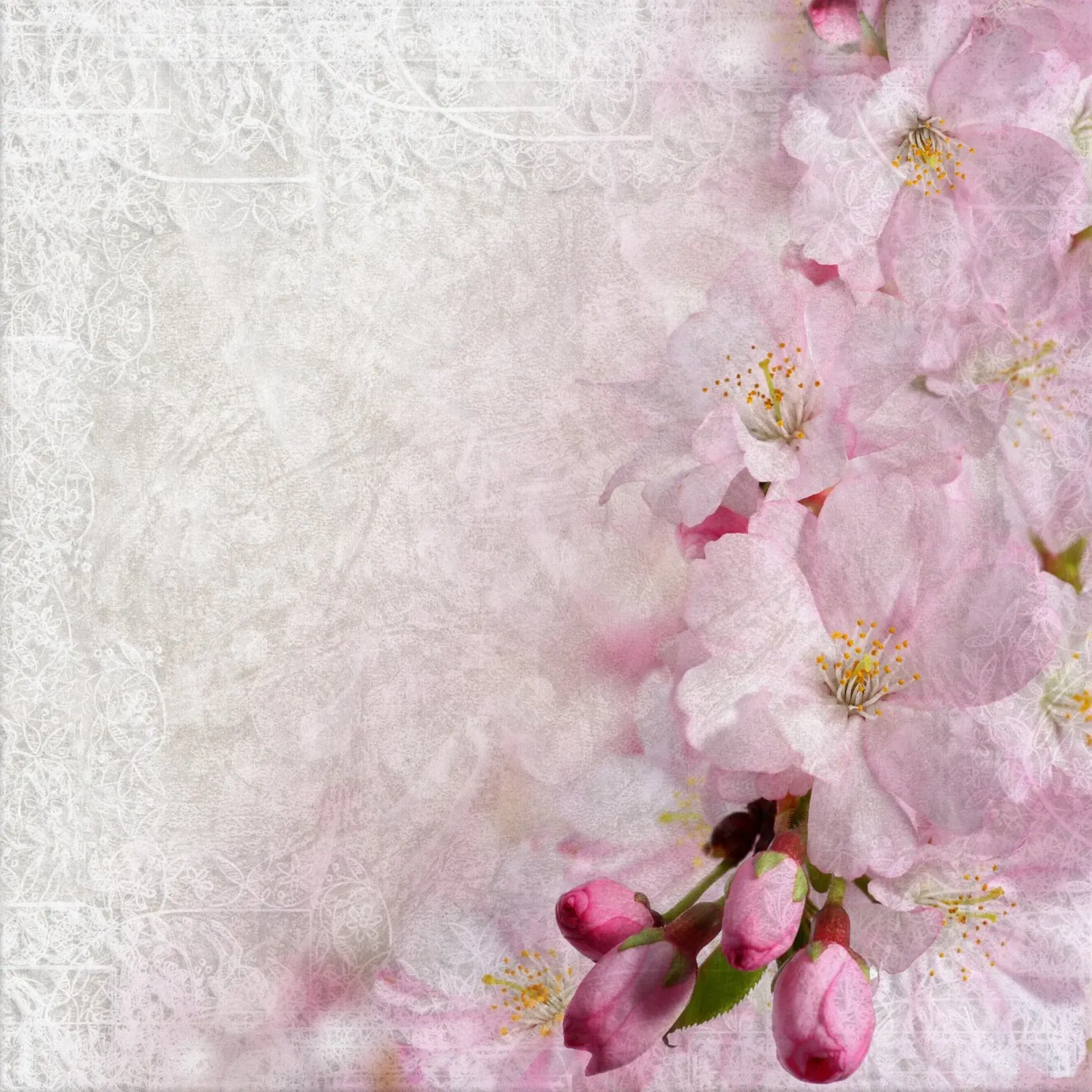 Breath of Sakura canvas with Floater frame by Bold Blooms