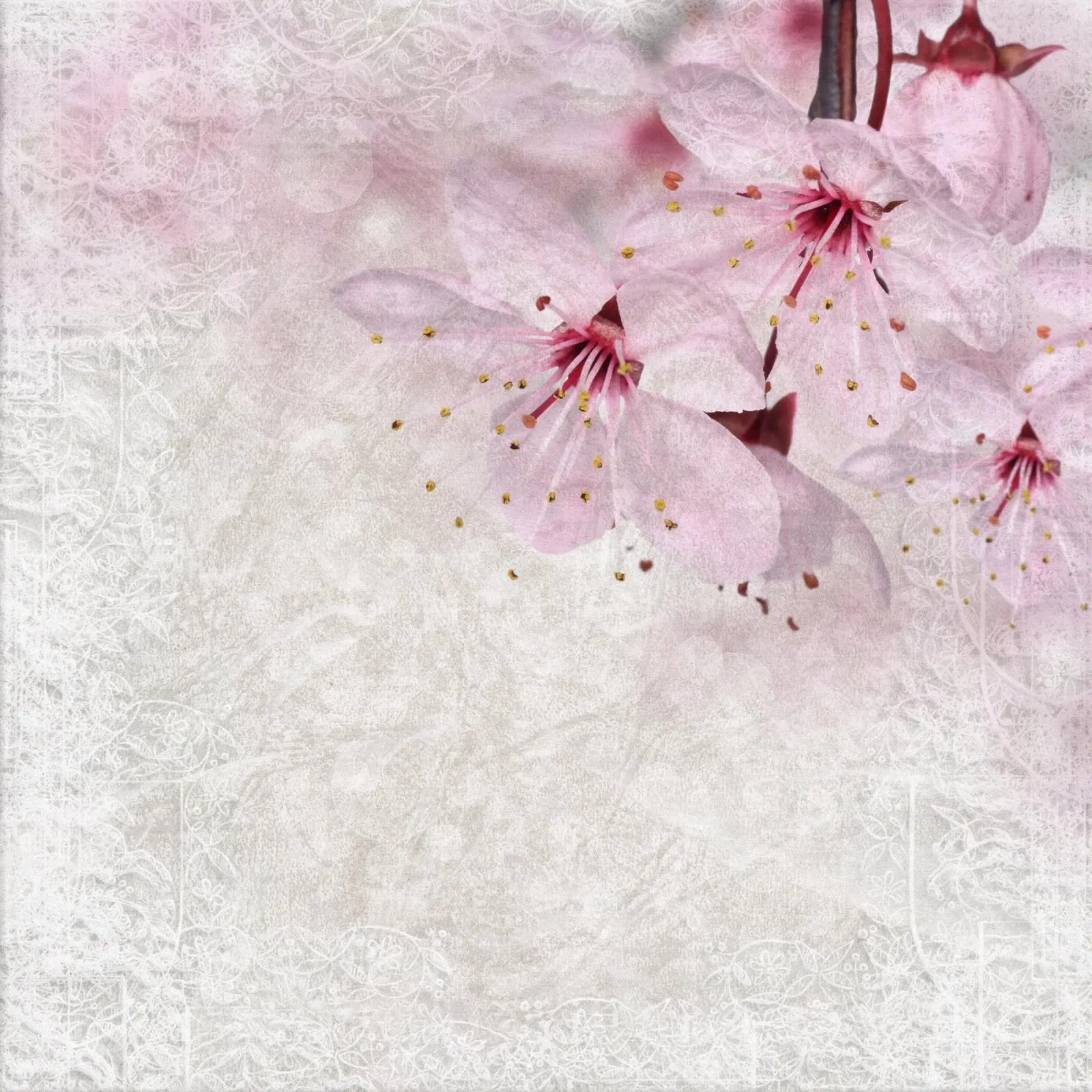 Il respiro di Sakura poster da Bold Blooms