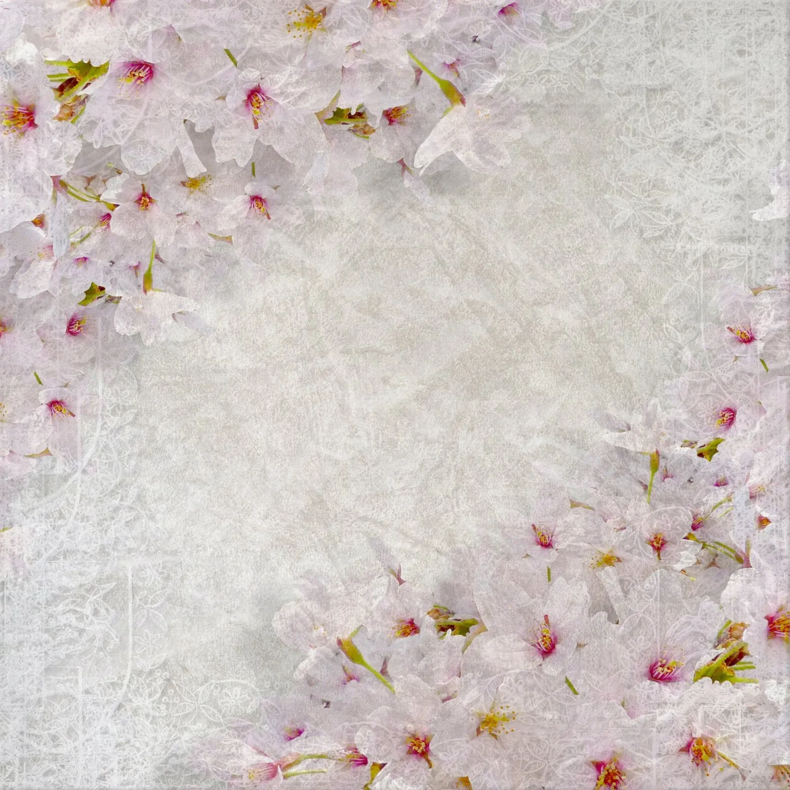 Breath of Sakura canvas with Floater frame by Bold Blooms