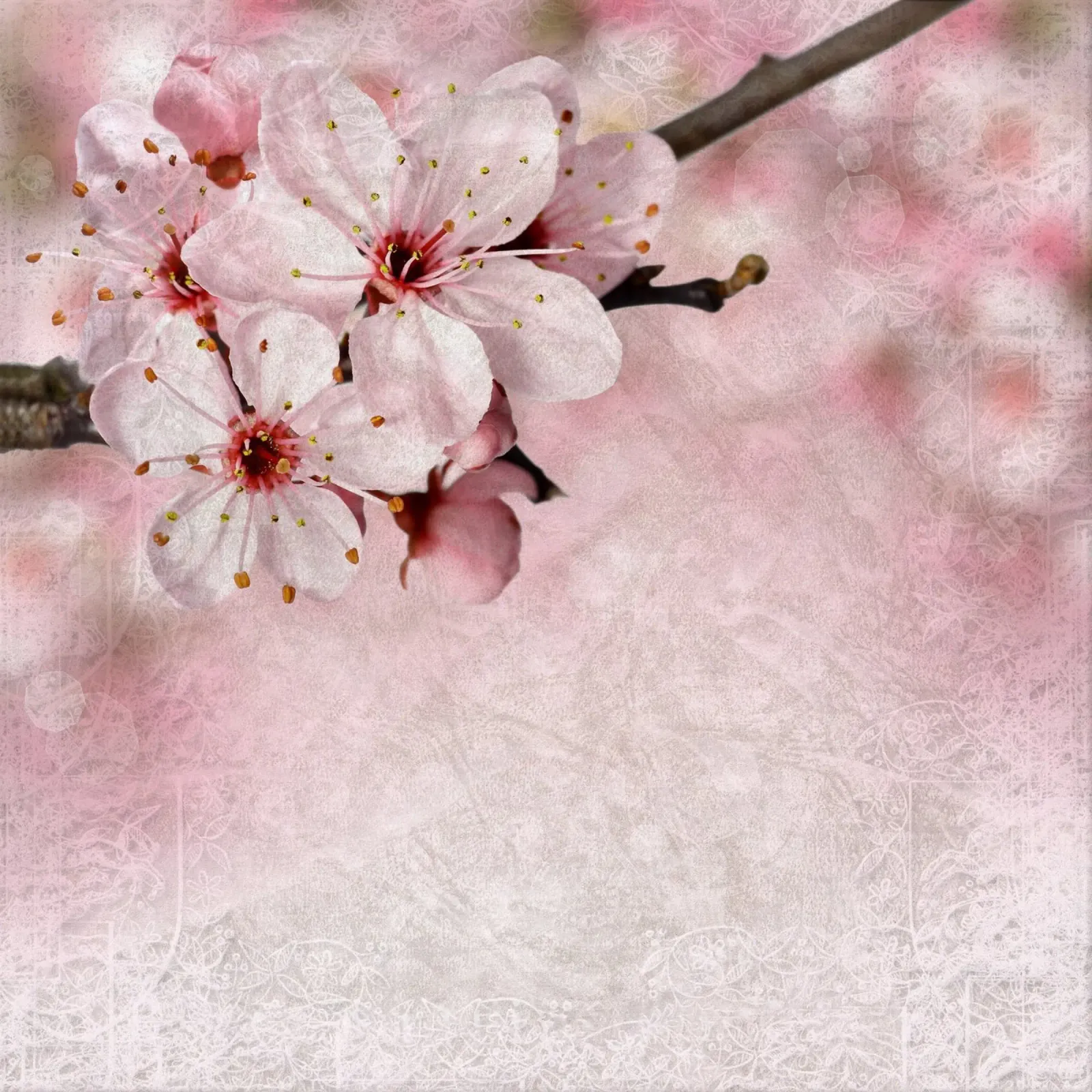 Il respiro di Sakura poster con telaio in legno da Bold Blooms