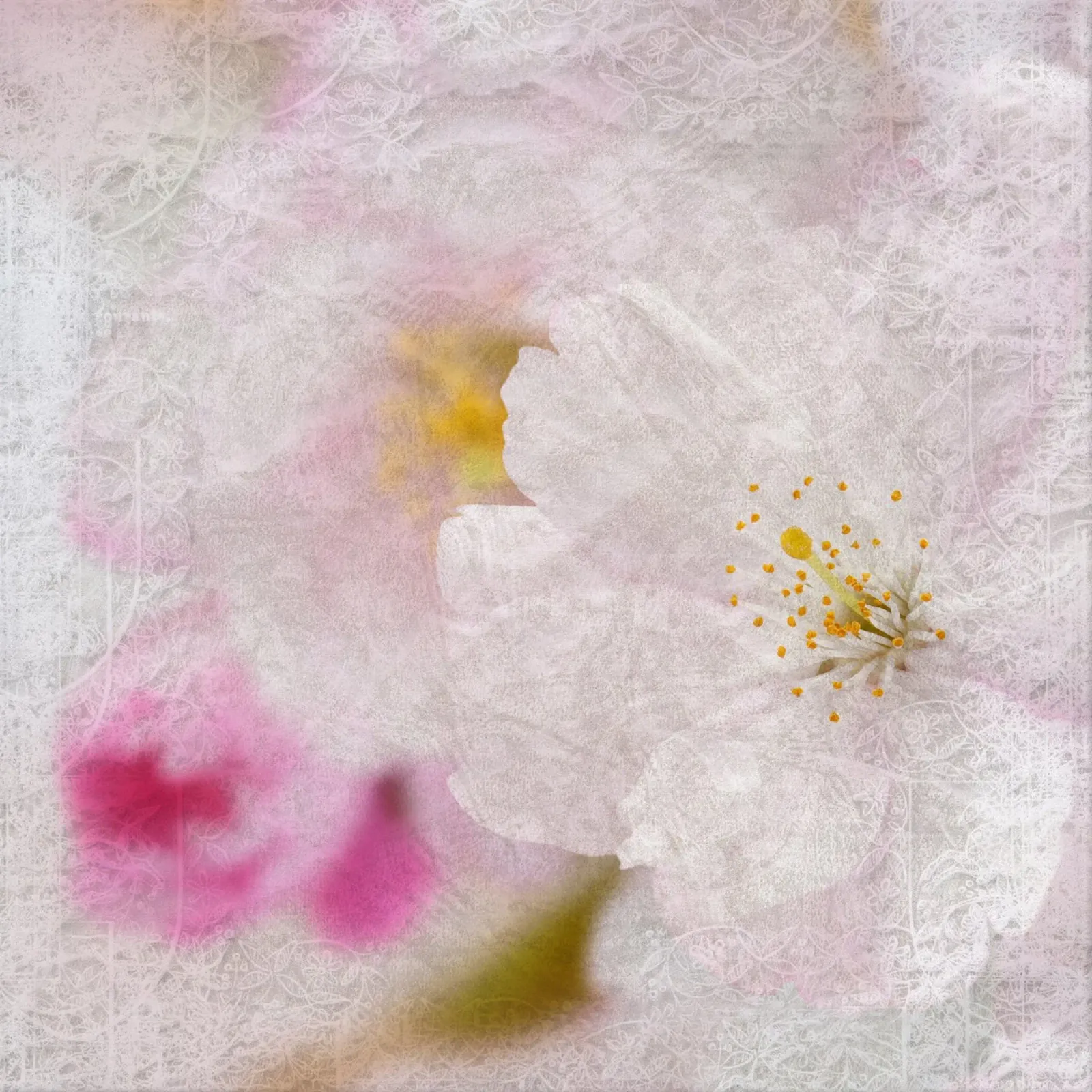 Il respiro di Sakura poster da Bold Blooms