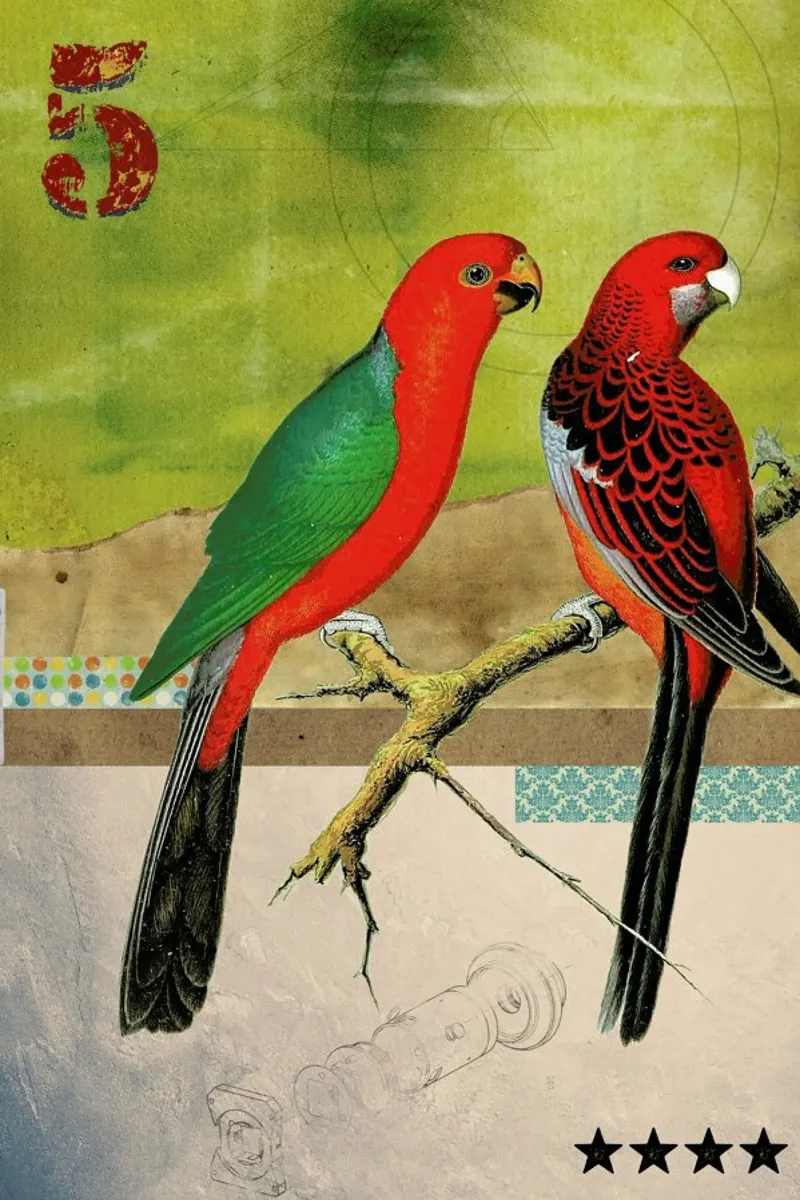 Animals: Birds carta hahnemühle da Elo Marc