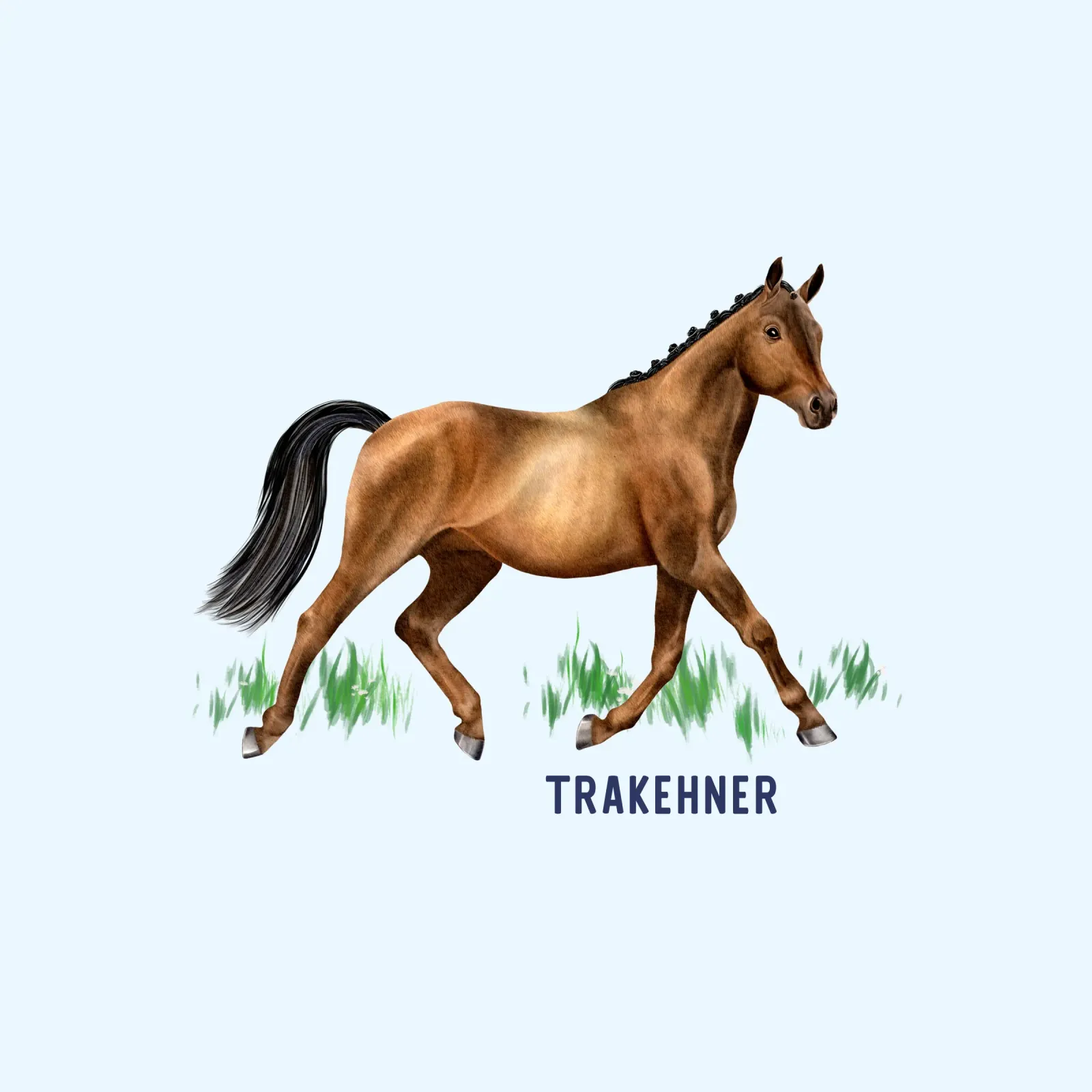 Trakehner pellicola backlit da Moonlit Illustrations