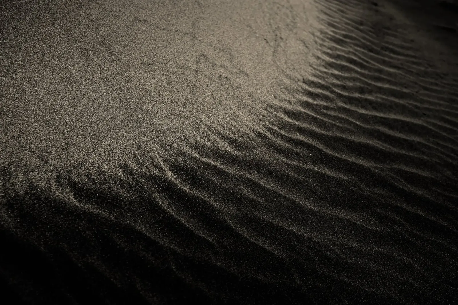 duna di sabbia pellicola backlit da Earthly Visions