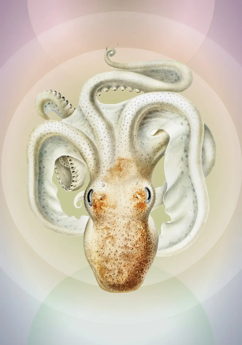 OctoOrbit | Press Play Art Print Remix metacrilato de Press Play Art Prints
