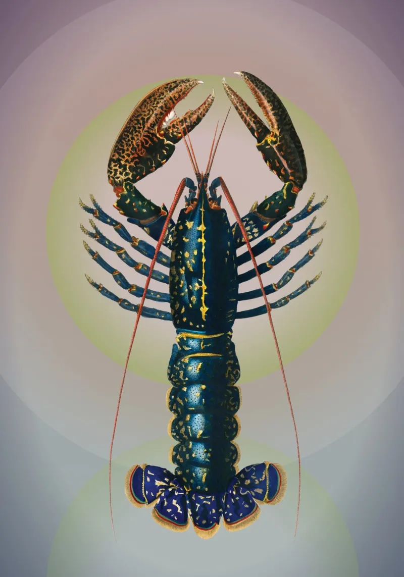 Crawfish Kaleidoscope | Press Play Art Print Remix metacrilato de Press Play Art Prints